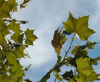 content_img.3174.img.jpg