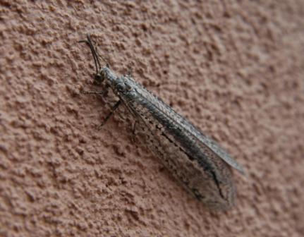 content_img.3193.img.jpg