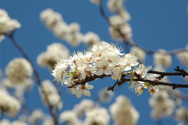content_img.3228.img.jpg