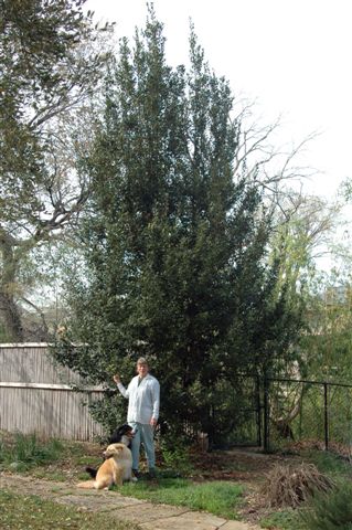 content_img.3265.img.jpg