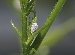 content_img.3288.img.jpg