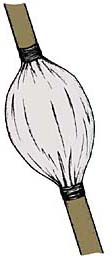 content_img.3304.img.bmp