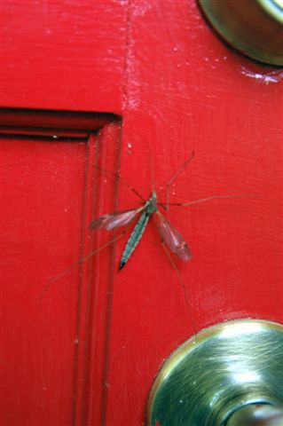 content_img.3309.img.jpg