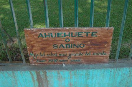 content_img.3381.img.jpg