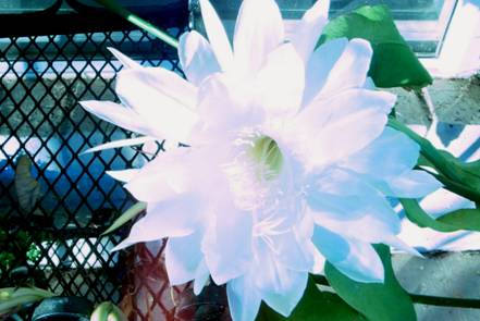 content_img.3490.img.jpg