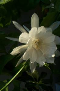 content_img.3491.img.jpg