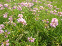 content_img.3551.img.jpg