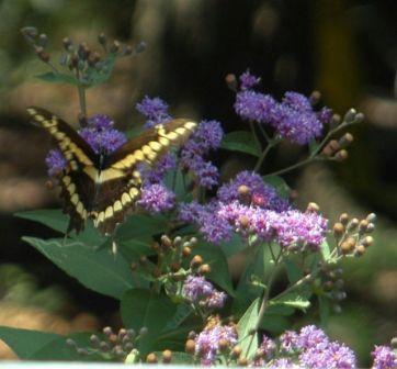 content_img.3601.img.jpg