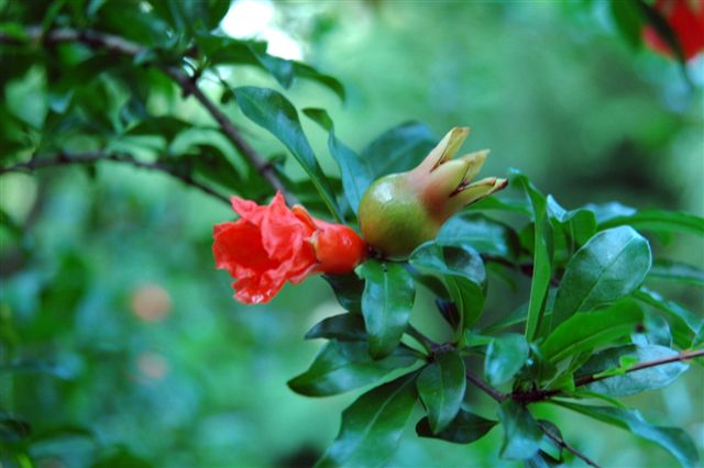 content_img.3602.img.jpg