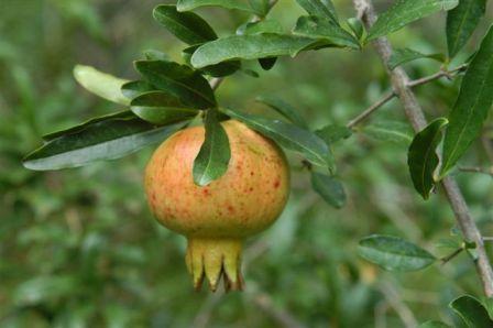 content_img.3616.img.jpg