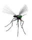 content_img.3636.img.bmp