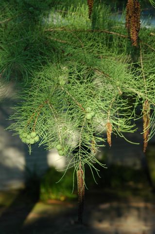 content_img.3640.img.jpg