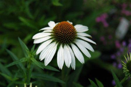 content_img.3710.img.jpg