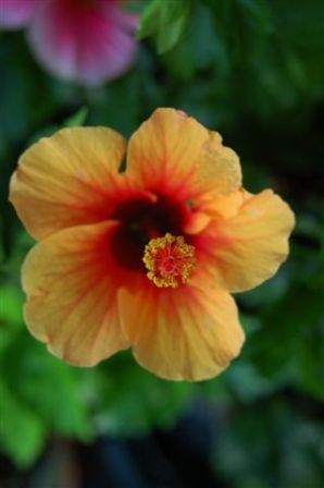 content_img.3714.img.jpg