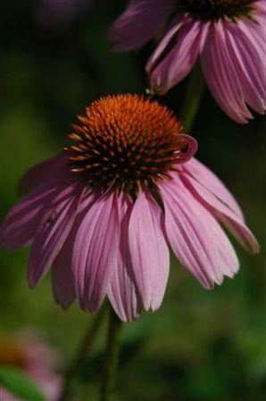 content_img.3715.img.jpg
