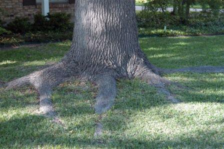 content_img.3877.img.jpg