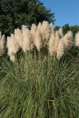 content_img.4004.img.jpg
