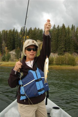 content_img.4015.img.jpg