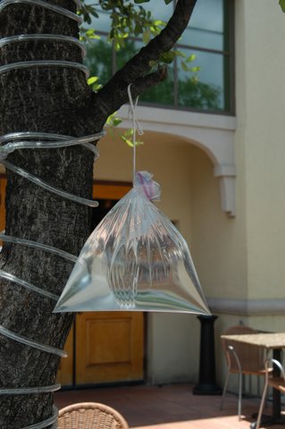 content_img.4180.img.jpg