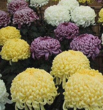 content_img.4193.img.jpg