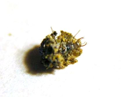 content_img.4357.img.jpg