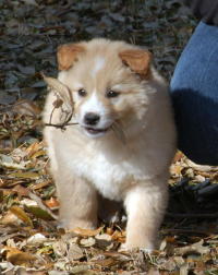 content_img.4453.img.jpg