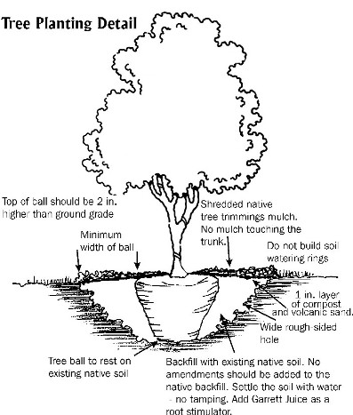 content_img.4605.img.jpg