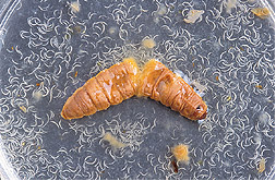 content_img.4611.img.png