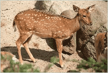 content_img.4788.img.gif