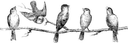 content_img.4907.img.jpg