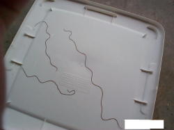 content_img.495.img.jpg