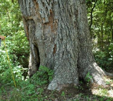 content_img.5058.img.jpg