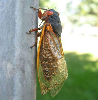 content_img.5191.img.jpg