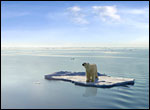 content_img.5274.img.bmp