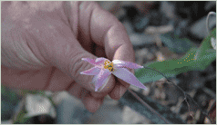 content_img.5475.img.gif