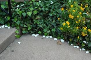 content_img.5532.img.jpg