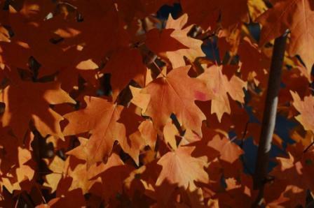 content_img.5535.img.jpg