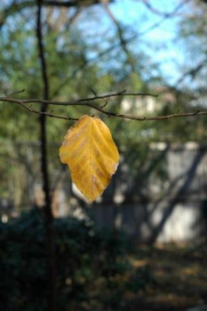 content_img.5627.img.jpg