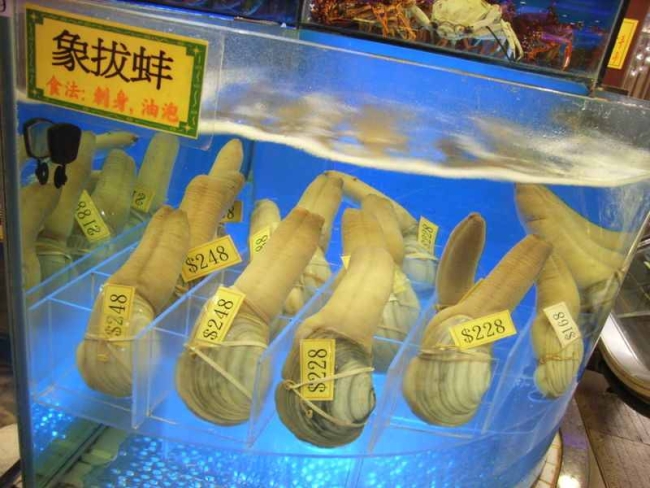 content_img.5678.img.jpg