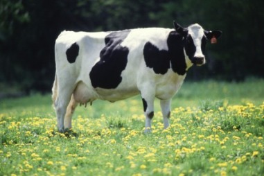 content_img.5790.img.jpg