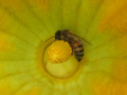 content_img.5961.img.jpg