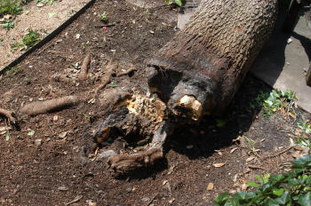 content_img.609.img.jpg