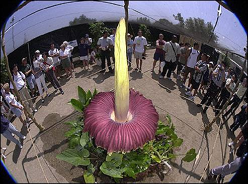 content_img.6428.img.bmp