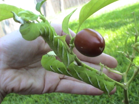 content_img.6473.img.jpg
