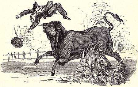 content_img.6501.img.bmp