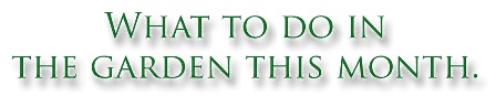 content_img.6651.img.jpg