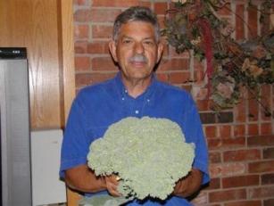 content_img.6777.img.jpg