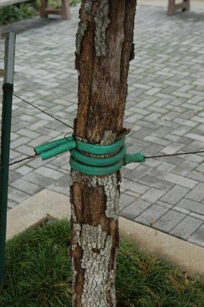 content_img.6868.img.jpg