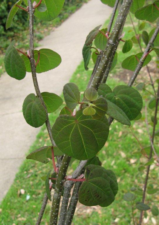 content_img.6954.img.jpg