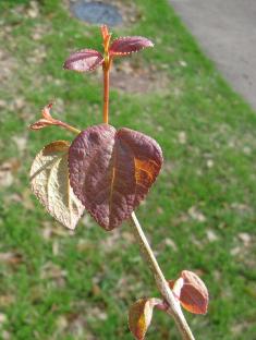 content_img.6965.img.jpg